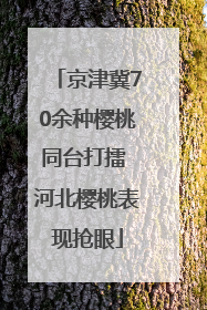 京津冀70余种樱桃同台打擂 河北樱桃表现抢眼