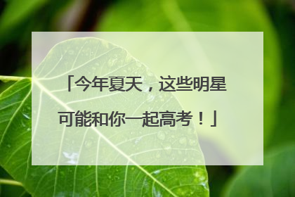 今年夏天，这些明星可能和你一起高考！