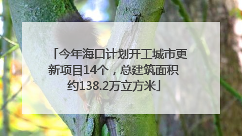 今年海口计划开工城市更新项目14个，总建筑面积约138.2万立方米