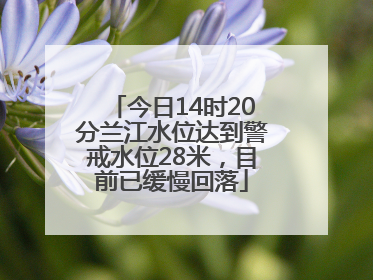 今日14时20分兰江水位达到警戒水位28米，目前已缓慢回落