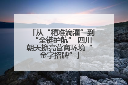 从“精准滴灌”到“全链护航” 四川朝天擦亮营商环境“金字招牌”