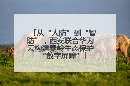 从“人防”到“智防”，西安联合华为云构建秦岭生态保护“数字屏障”