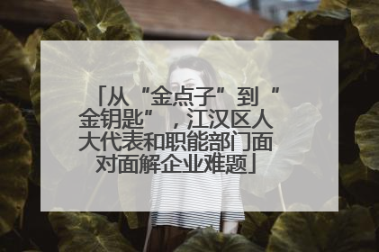 从“金点子”到“金钥匙”，江汉区人大代表和职能部门面对面解企业难题