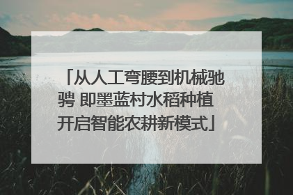 从人工弯腰到机械驰骋 即墨蓝村水稻种植开启智能农耕新模式