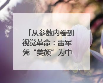 从参数内卷到视觉革命：雷军凭“美颜”为中国车企撕开设计新赛道｜封面车评