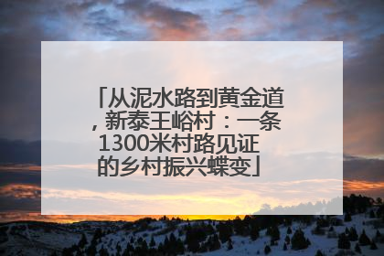 从泥水路到黄金道，新泰王峪村：一条1300米村路见证的乡村振兴蝶变
