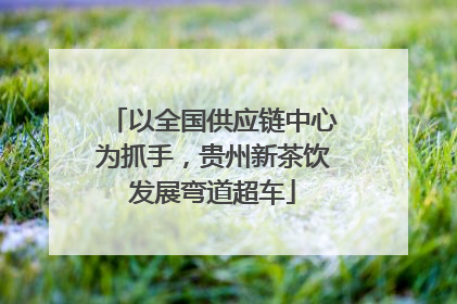 以全国供应链中心为抓手，贵州新茶饮发展弯道超车
