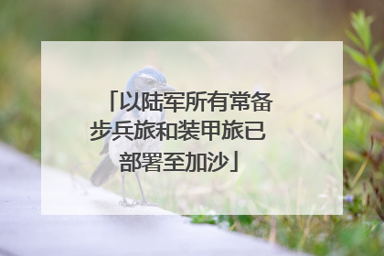 以陆军所有常备步兵旅和装甲旅已部署至加沙