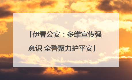伊春公安：多维宣传强意识 全警聚力护平安