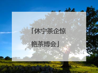 休宁茶企惊艳茶博会
