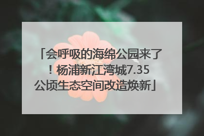 会呼吸的海绵公园来了！杨浦新江湾城7.35公顷生态空间改造焕新