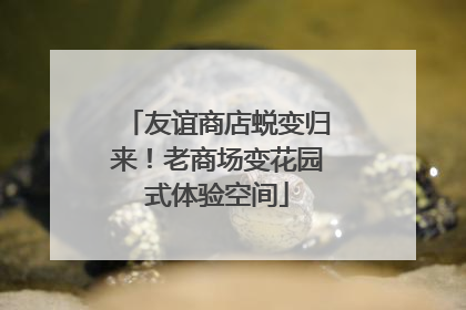 友谊商店蜕变归来！老商场变花园式体验空间