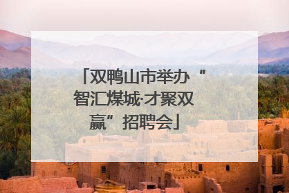 双鸭山市举办“智汇煤城·才聚双赢”招聘会