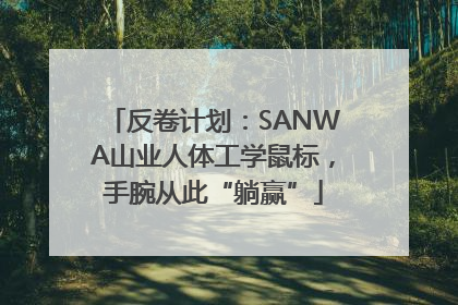 反卷计划：SANWA山业人体工学鼠标，手腕从此“躺赢”