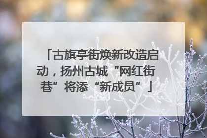 古旗亭街焕新改造启动，扬州古城“网红街巷”将添“新成员”
