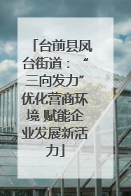 台前县凤台街道：“三向发力”优化营商环境 赋能企业发展新活力