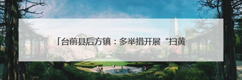 台前县后方镇：多举措开展“扫黄打非”工作，筑牢文化安全防线
