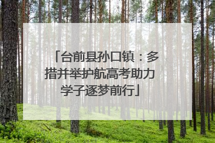 台前县孙口镇：多措并举护航高考助力学子逐梦前行