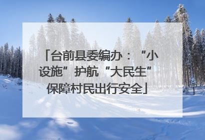 台前县委编办：“小设施”护航“大民生” 保障村民出行安全