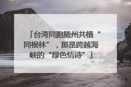 台湾同胞随州共植“同根林”，那是跨越海峡的“绿色情诗”