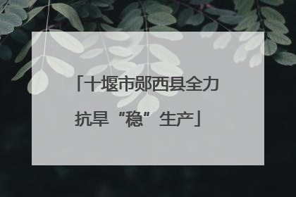 十堰市郧西县全力抗旱“稳”生产