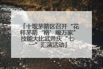 十堰茅箭区召开“花样茅箭‘格’暖万家”技能大比武暨庆“七·一”汇演活动