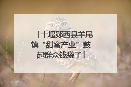 十堰郧西县羊尾镇“甜蜜产业”鼓起群众钱袋子
