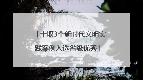 十堰3个新时代文明实践案例入选省级优秀