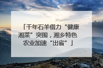 千年石羊借力“健康湘菜”突围，湘乡特色农业加速“出省”