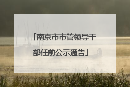 南京市市管领导干部任前公示通告