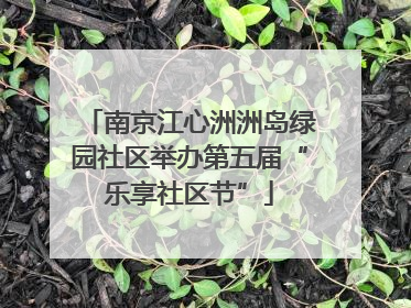南京江心洲洲岛绿园社区举办第五届“乐享社区节”