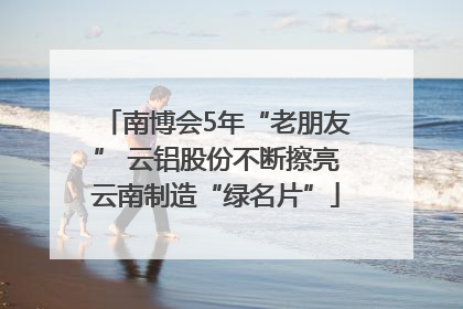 南博会5年“老朋友” 云铝股份不断擦亮云南制造“绿名片”