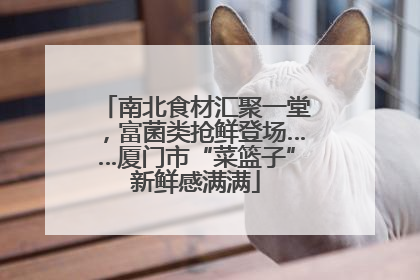 南北食材汇聚一堂，富菌类抢鲜登场……厦门市“菜篮子”新鲜感满满