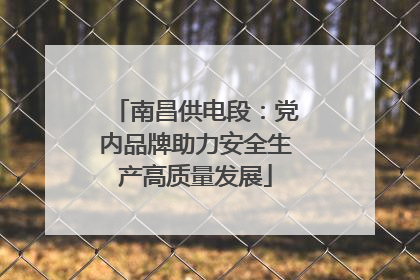 南昌供电段：党内品牌助力安全生产高质量发展