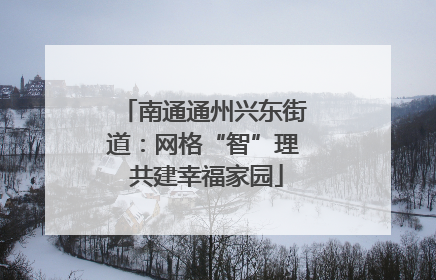 南通通州兴东街道：网格“智”理 共建幸福家园