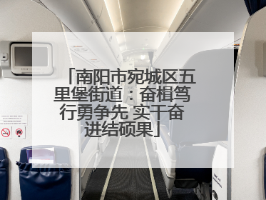 南阳市宛城区五里堡街道：奋楫笃行勇争先 实干奋进结硕果