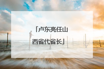 卢东亮任山西省代省长