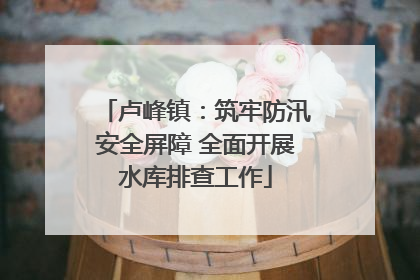 卢峰镇：筑牢防汛安全屏障 全面开展水库排查工作
