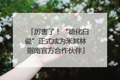 厉害了！“德化白瓷”正式成为米其林指南官方合作伙伴