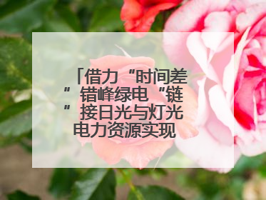 借力“时间差”错峰绿电“链”接日光与灯光 电力资源实现“时空腾挪”
