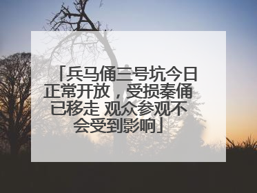 兵马俑三号坑今日正常开放，受损秦俑已移走 观众参观不会受到影响
