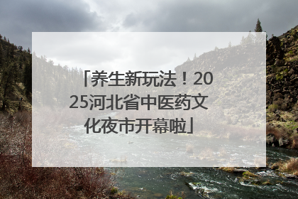 养生新玩法！2025河北省中医药文化夜市开幕啦