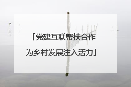 党建互联帮扶合作 为乡村发展注入活力