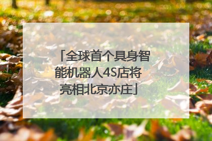 全球首个具身智能机器人4S店将亮相北京亦庄
