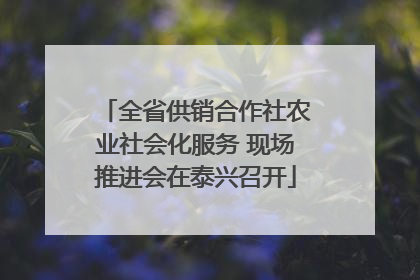 全省供销合作社农业社会化服务 现场推进会在泰兴召开