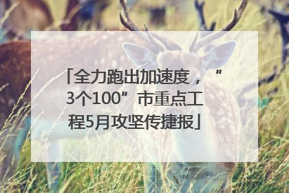 全力跑出加速度，“3个100”市重点工程5月攻坚传捷报