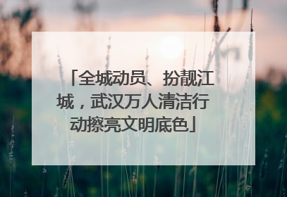 全城动员、扮靓江城，武汉万人清洁行动擦亮文明底色