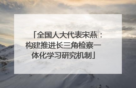 全国人大代表宋燕：构建推进长三角检察一体化学习研究机制