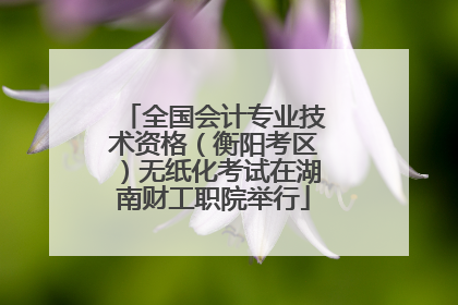 全国会计专业技术资格（衡阳考区）无纸化考试在湖南财工职院举行