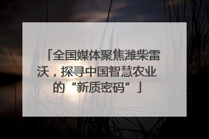 全国媒体聚焦潍柴雷沃，探寻中国智慧农业的“新质密码”